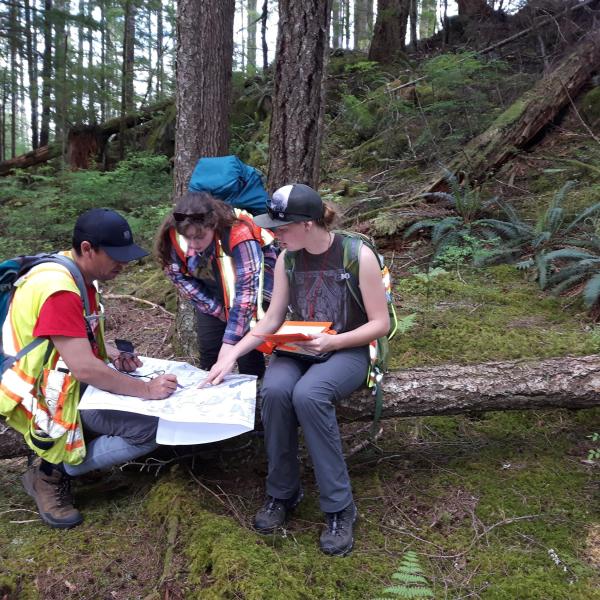 Students discussing their geological map at the Lucky Jim site on Quadra Island